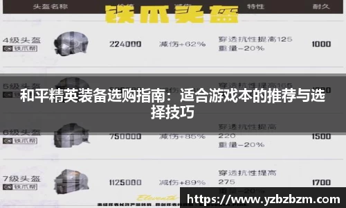 和平精英装备选购指南：适合游戏本的推荐与选择技巧
