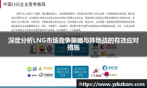 深度分析LNG市场竞争策略与阵地战的有效应对措施